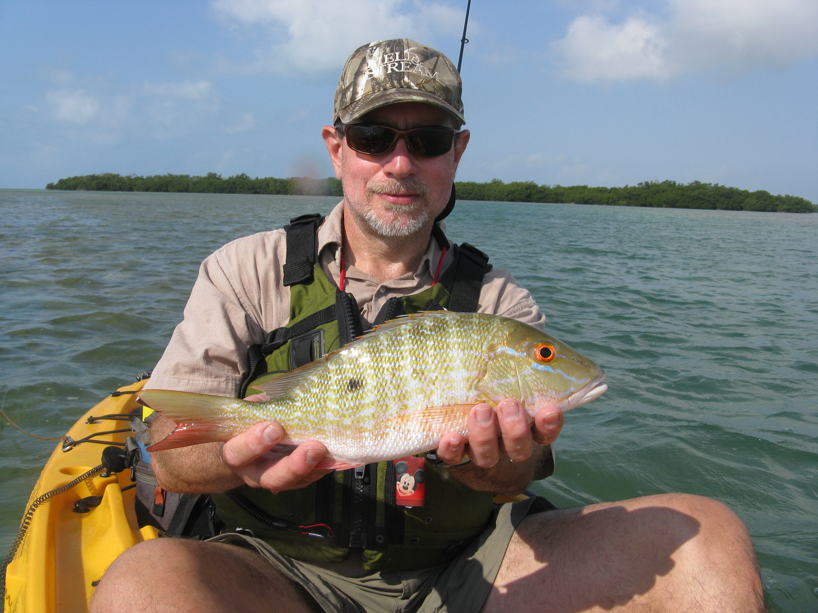 Mike mangrove snapper