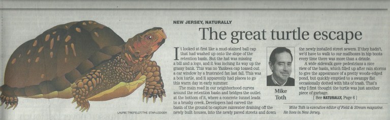 Turtle story SL 1 of 2