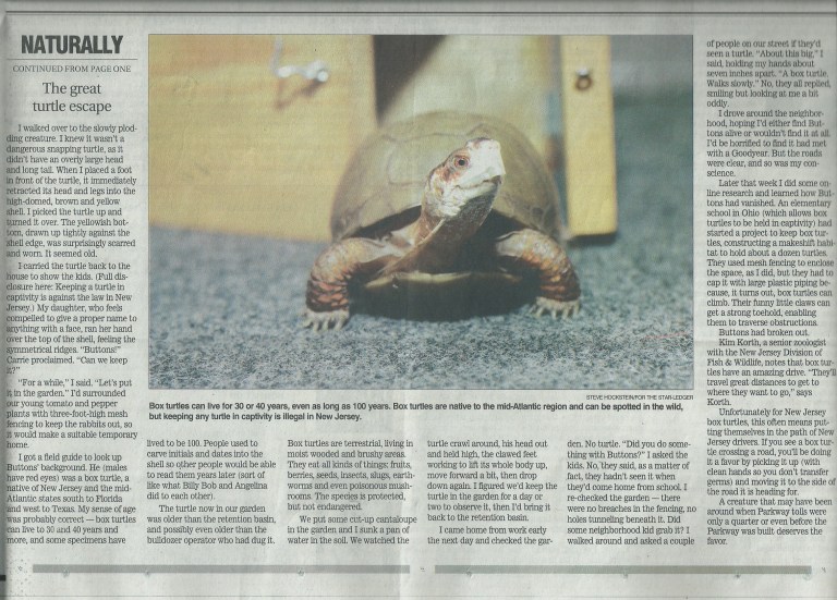 Turtle story SL 2 of 2